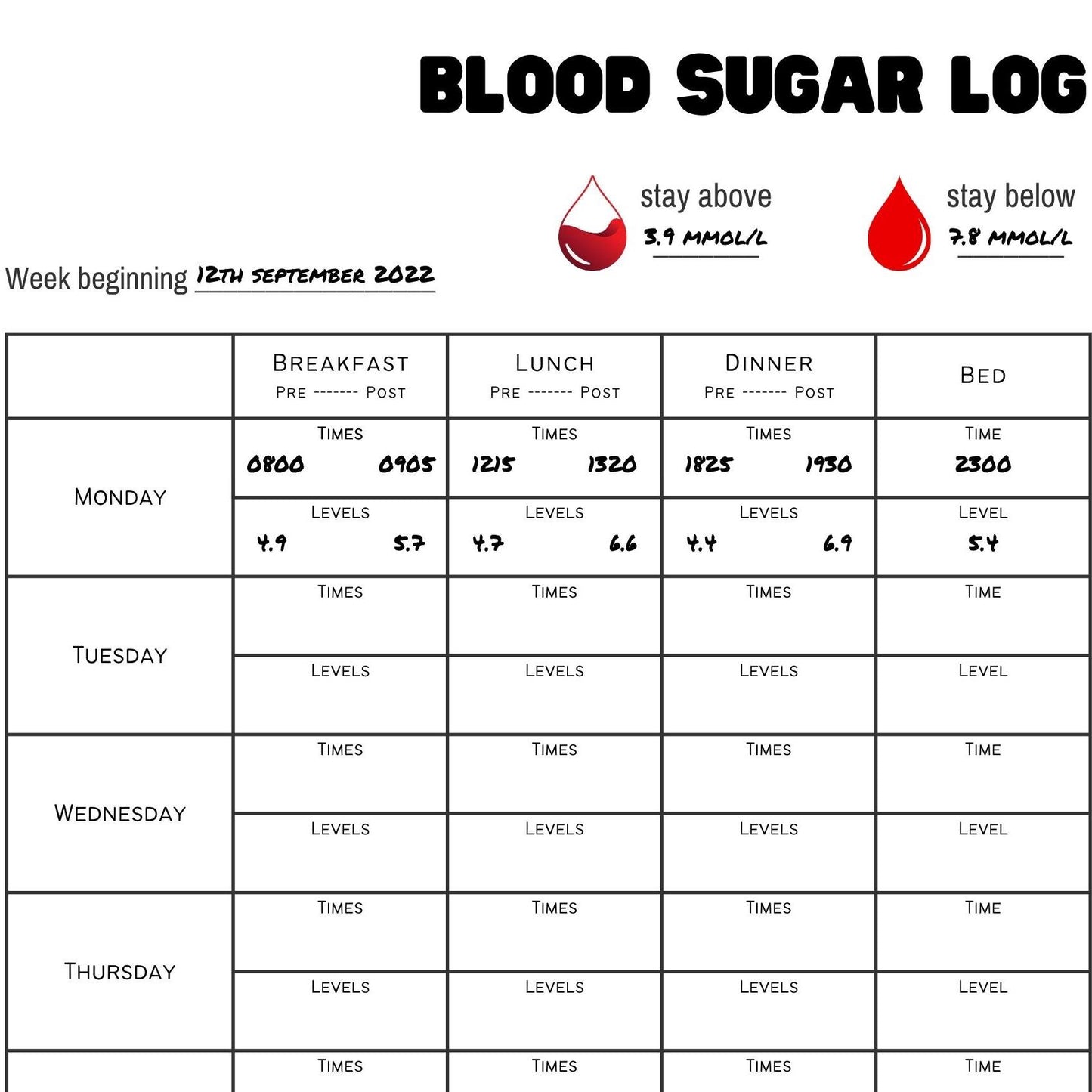 Examples written on printable diabetes log sheet